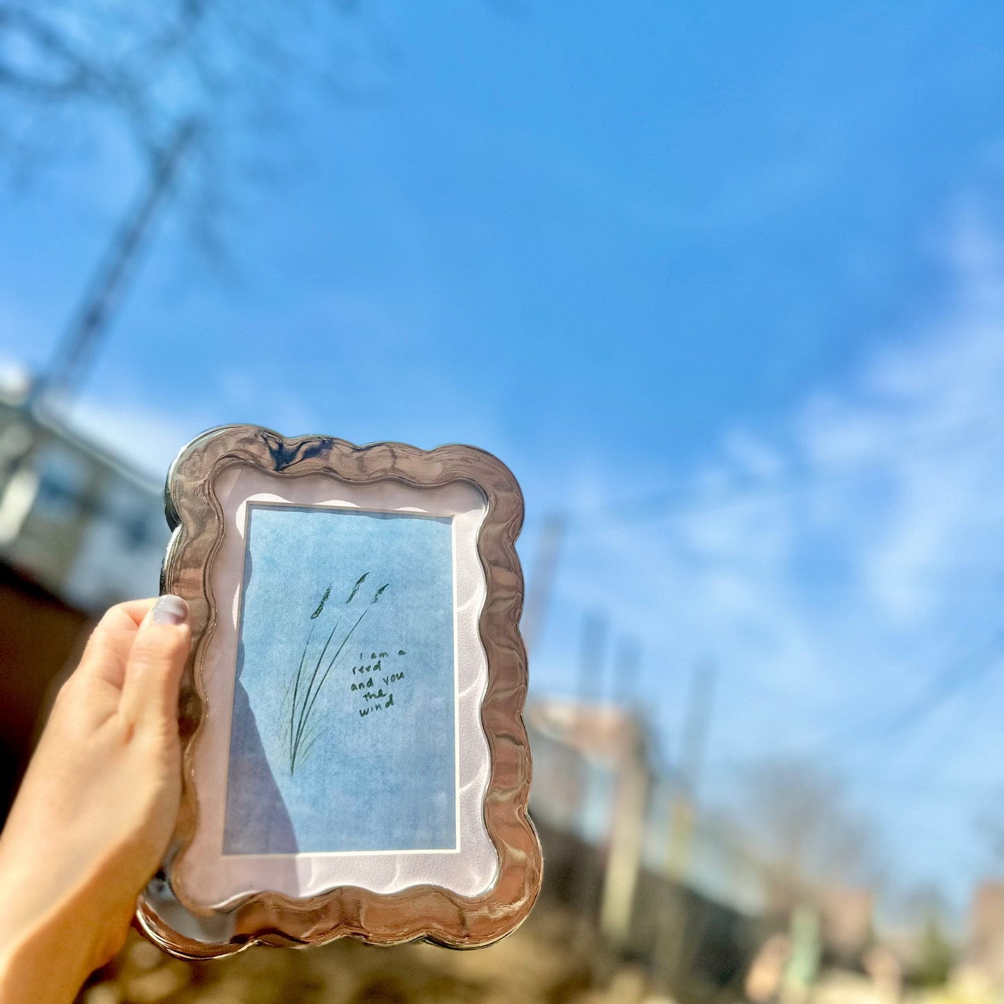 "Reeds" Framed 4x6 Print