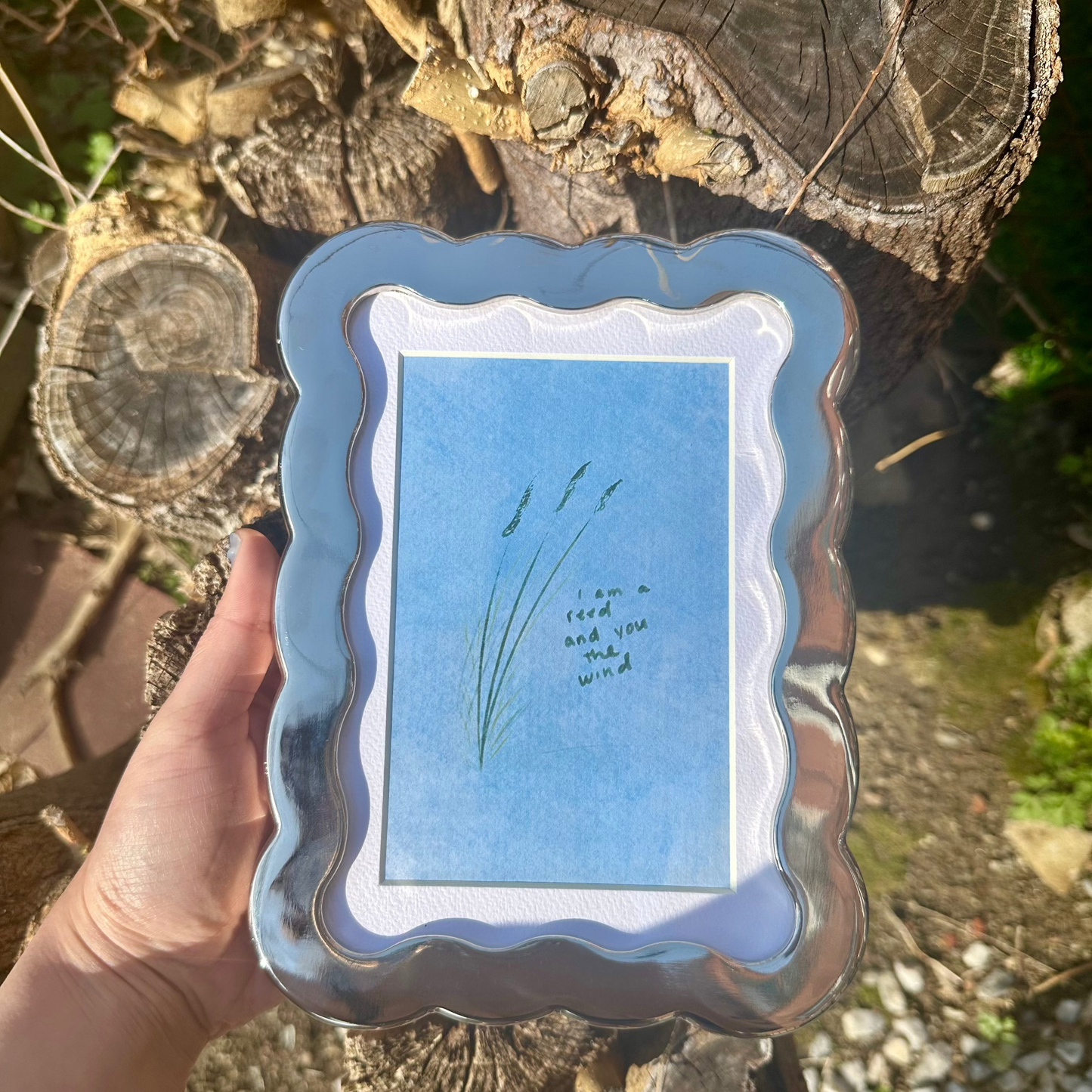 "Reeds" Framed 4x6 Print